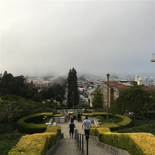 Fog City Run Club