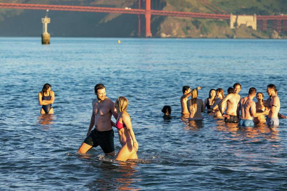 Salty Dogs Club SF