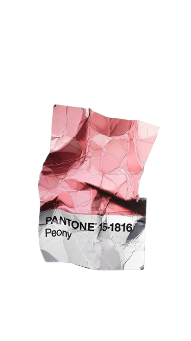 Pantone Peony color swatch